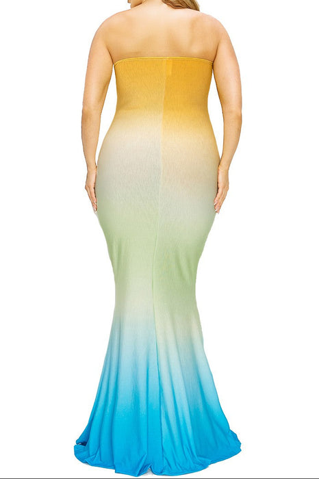 Ombre Maxi Dress
