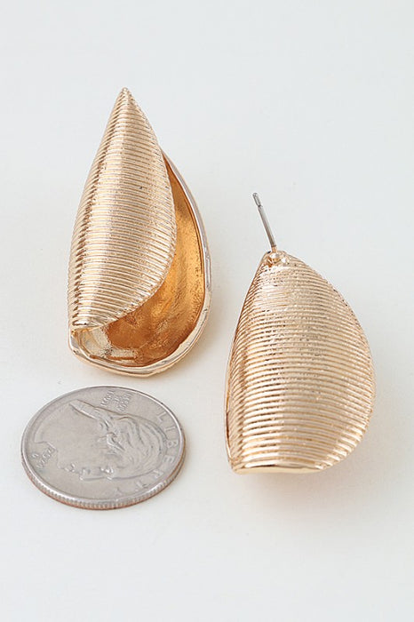 Conch Shell Earrings