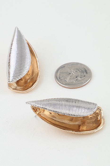Conch Shell Earrings